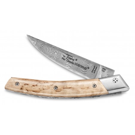 Thiers pocket knife with wood or horn handle